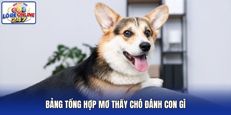 Bảng tổng hợp mơ thấy chó đánh con gì