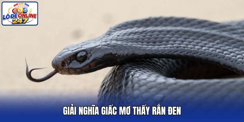 Giải nghĩa giấc mơ thấy rắn đen