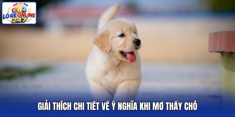 Giải thích chi tiết về ý nghĩa khi mơ thấy chó