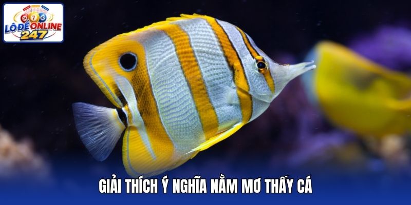 Giải thích ý nghĩa nằm mơ thấy cá