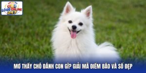 Mơ Thấy Chó Đánh Con Gì? Giải Mã Điềm Báo Và Số Đẹp