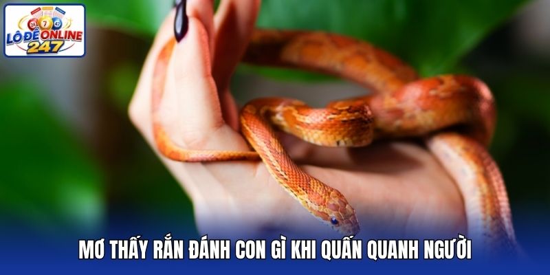 Mơ thấy rắn đánh con gì khi quấn quanh người