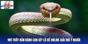 Mơ Thấy Rắn Đánh Con Gì