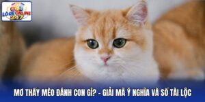 Mơ Thấy Mèo Đánh Con Gì?