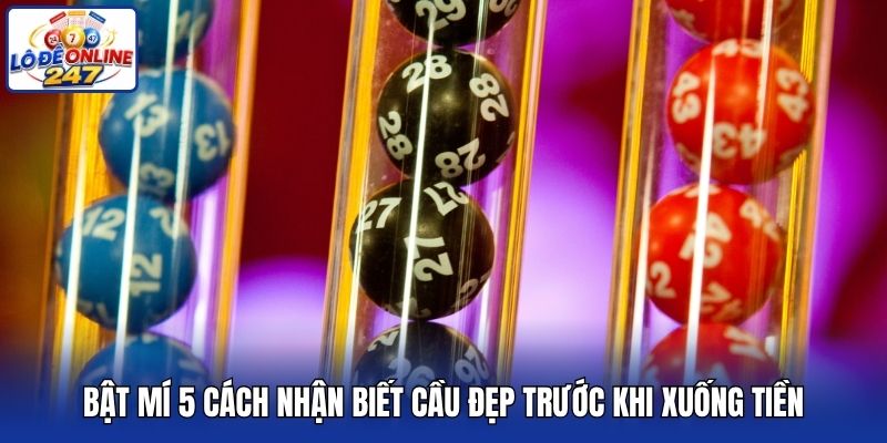Bật mí 5 cách nhận biết cầu đẹp trước khi xuống tiền
