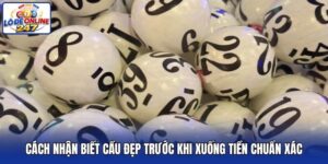 Cách Nhận Biết Cầu Đẹp Trước Khi Xuống Tiền Chuẩn Xác