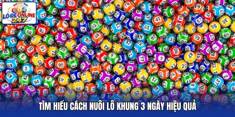 Tìm hiểu cách nuôi lô khung 3 ngày hiệu quả